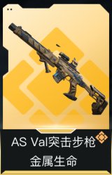 AS Val突击步枪-金属生命