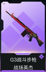 G3战斗步枪-战场英杰
