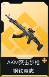 AKM突击步枪-钢铁意志