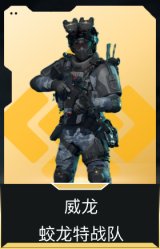 威龙-蛟龙特战队