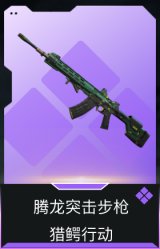 腾龙突击步枪-猎鳄行动