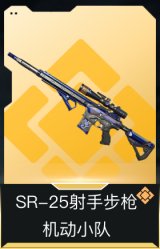 SR-25射手步枪-机动小队