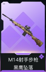 M14射手步枪-黑鹰坠落