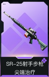 SR-25射手步枪-尖端治疗