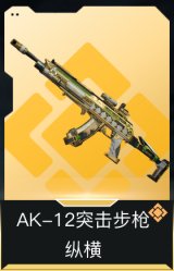 AK-12突击步枪-纵横
