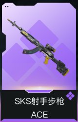 SKS射手步枪-ACE