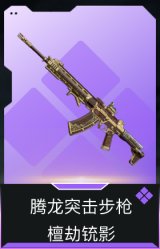腾龙突击步枪-檀劫铳影