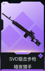 SVD狙击步枪-暗夜猎手