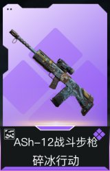 ASh-12战斗步枪-碎冰行动(典藏)