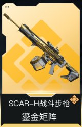 SCAR-H战斗步枪-鎏金矩阵