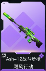 Ash-12战斗步枪-飓风行动(典藏)