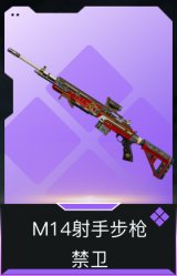 M14射手步枪-禁卫