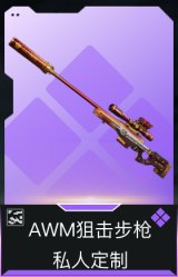AWM狙击步枪-私人定制(典藏)