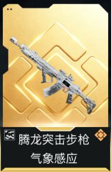 腾龙突击步枪-气象感应(典藏)
