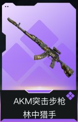 AKM突击步枪-林中猎手