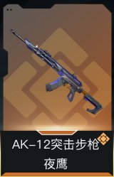 AK-12突击步枪-夜鹰