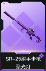 SR-25射手步枪-聚光灯