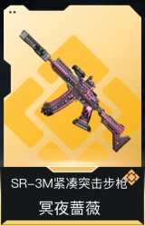 SR-3M紧凑突击步枪-冥夜蔷薇