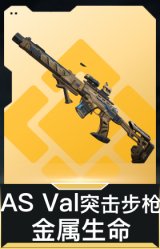 AS Val突击步枪-金属生命