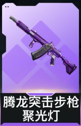 腾龙突击步枪-聚光灯