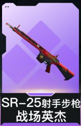 SR-25射手步枪-战场英杰