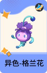 异色-格兰花