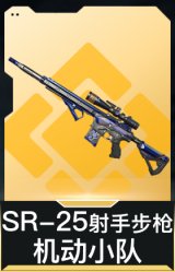 SR-25射手步枪-机动小队