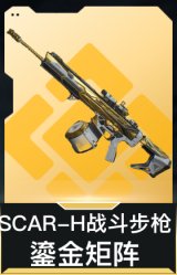 SCAR-H战斗步枪-鎏金矩阵