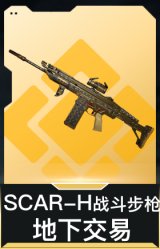 SCAR-H战斗步枪-地下交易