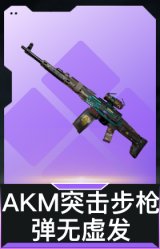 AKM突击步枪-弹无虚发