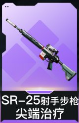 SR-25射手步枪-尖端治疗