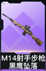 M14射手步枪-黑鹰坠落