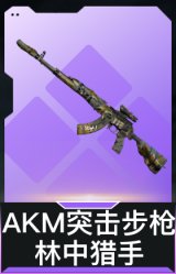 AKM突击步枪-林中猎手