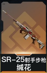 SR-25射手步枪-缄花