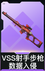 VSS射手步枪-数据入侵