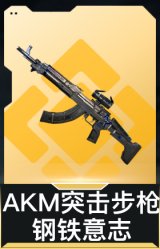 AKM突击步枪-钢铁意志