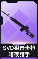 SVD狙击步枪-暗夜猎手