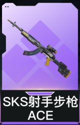 SKS射手步枪-ACE