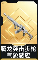 腾龙突击步枪-气象感应