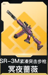 SR-3M紧凑突击步枪-冥夜蔷薇