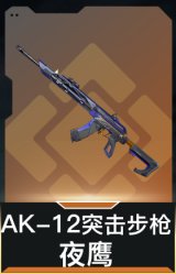 AK-12突击步枪-夜鹰
