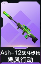 Ash-12战斗步枪-飓风行动(典藏)