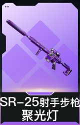 SR-25射手步枪-聚光灯