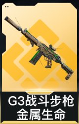 G3战斗步枪-金属生命