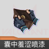 囊中羞涩 喷漆