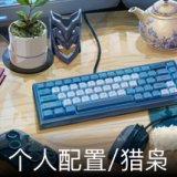 个人配置/猎枭卡面