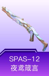 SPAS-12-夜鸢箴言