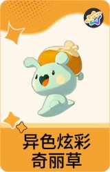 异色炫彩-奇丽草