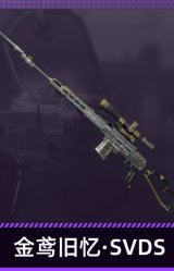 金鸢旧忆·SVDS