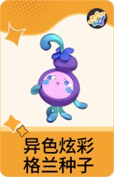 异色炫彩-格兰种子